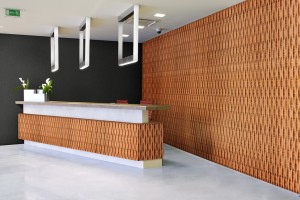 Plyboo Reveal, Sound and Linear Bamboo Wall Panels
